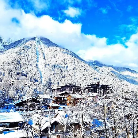 La Riviere - Aiguille Du Midi דירה שאמוני
