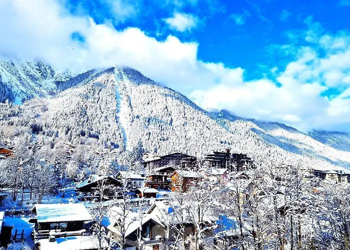 La Riviere - Aiguille Du Midi 公寓 霞慕尼